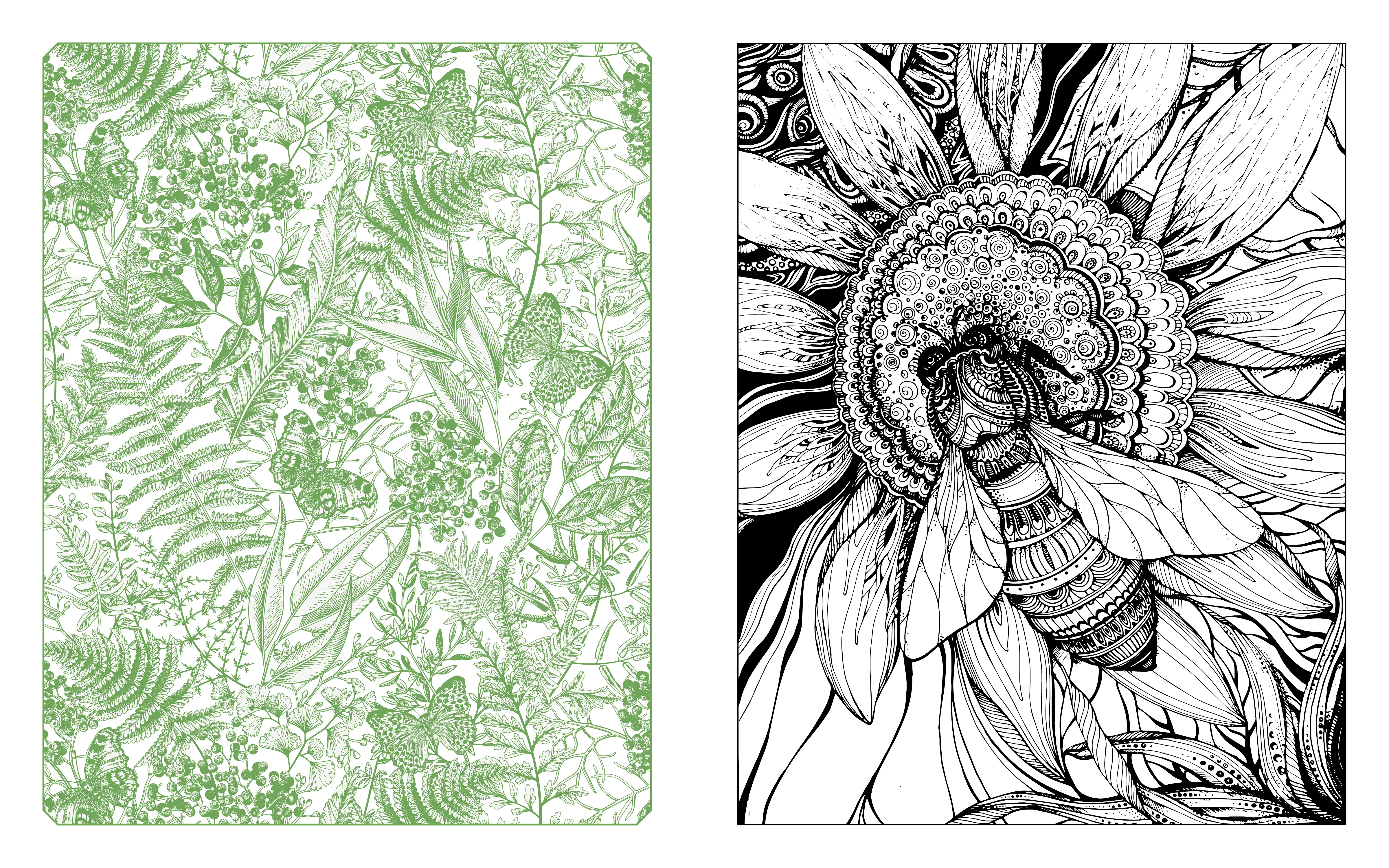 Butterflies, Bees and Dragonflies, Coloring Book - Image 3