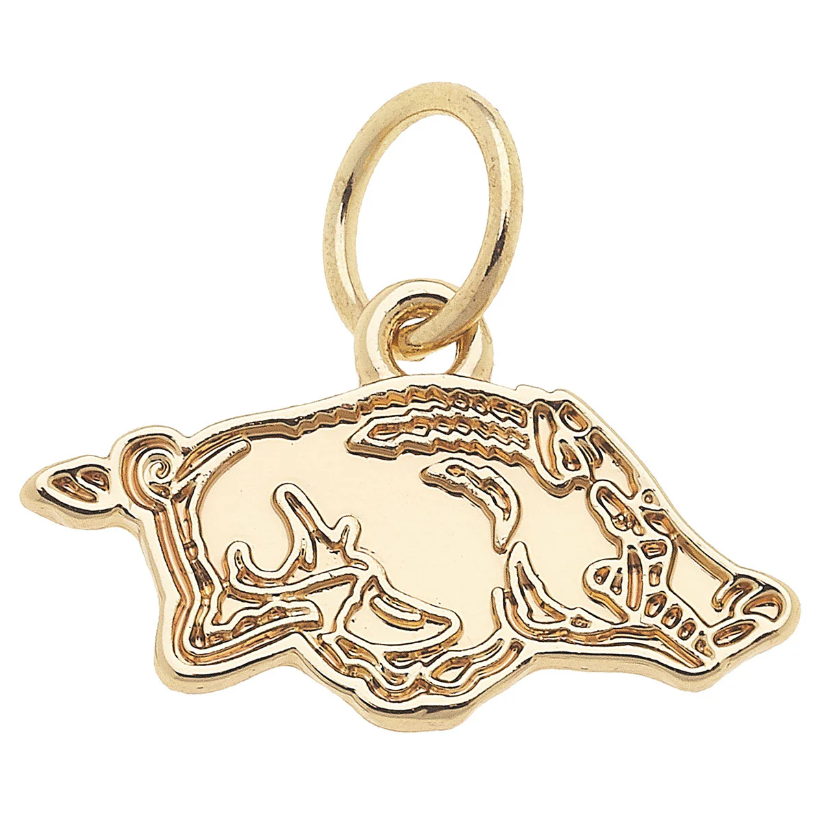 Canvas - Gold Razorback Charm
