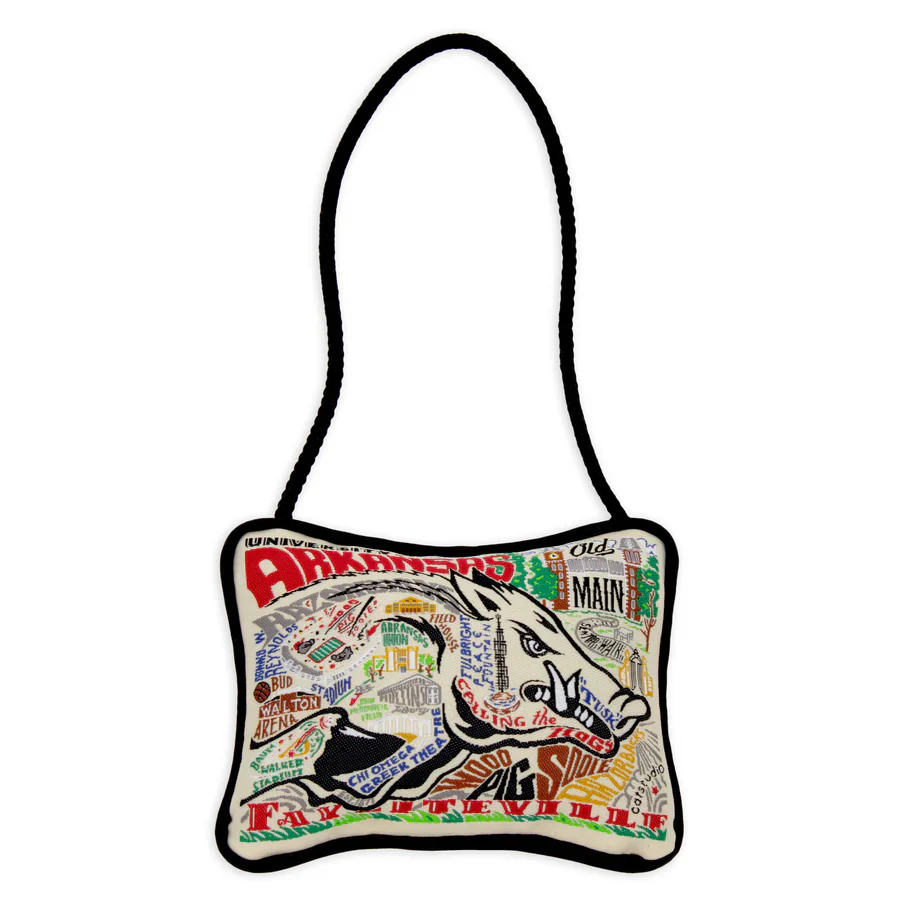 Catstudio - University of Arkansas Mini Pillow
