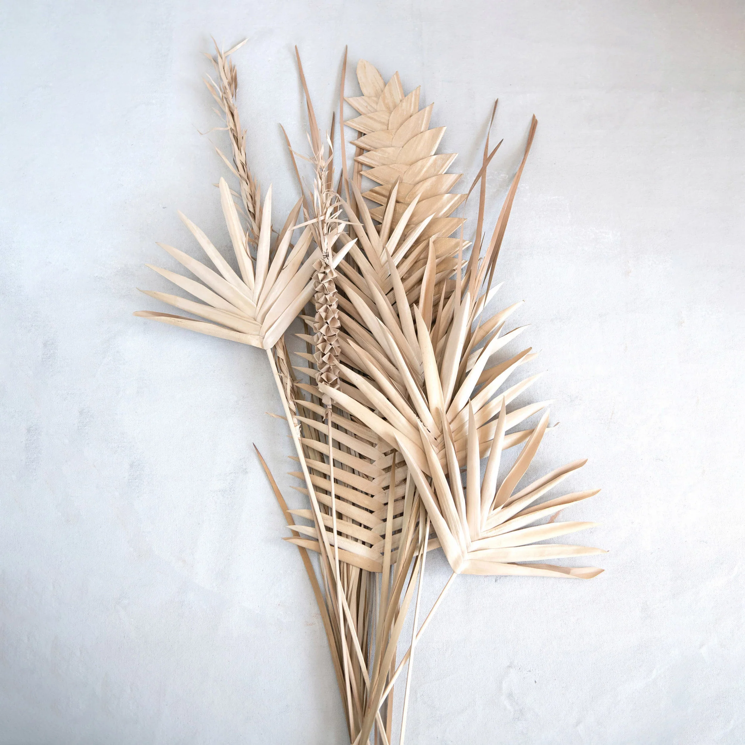 Creative Co-op - Buri Palm Stem - Image 3