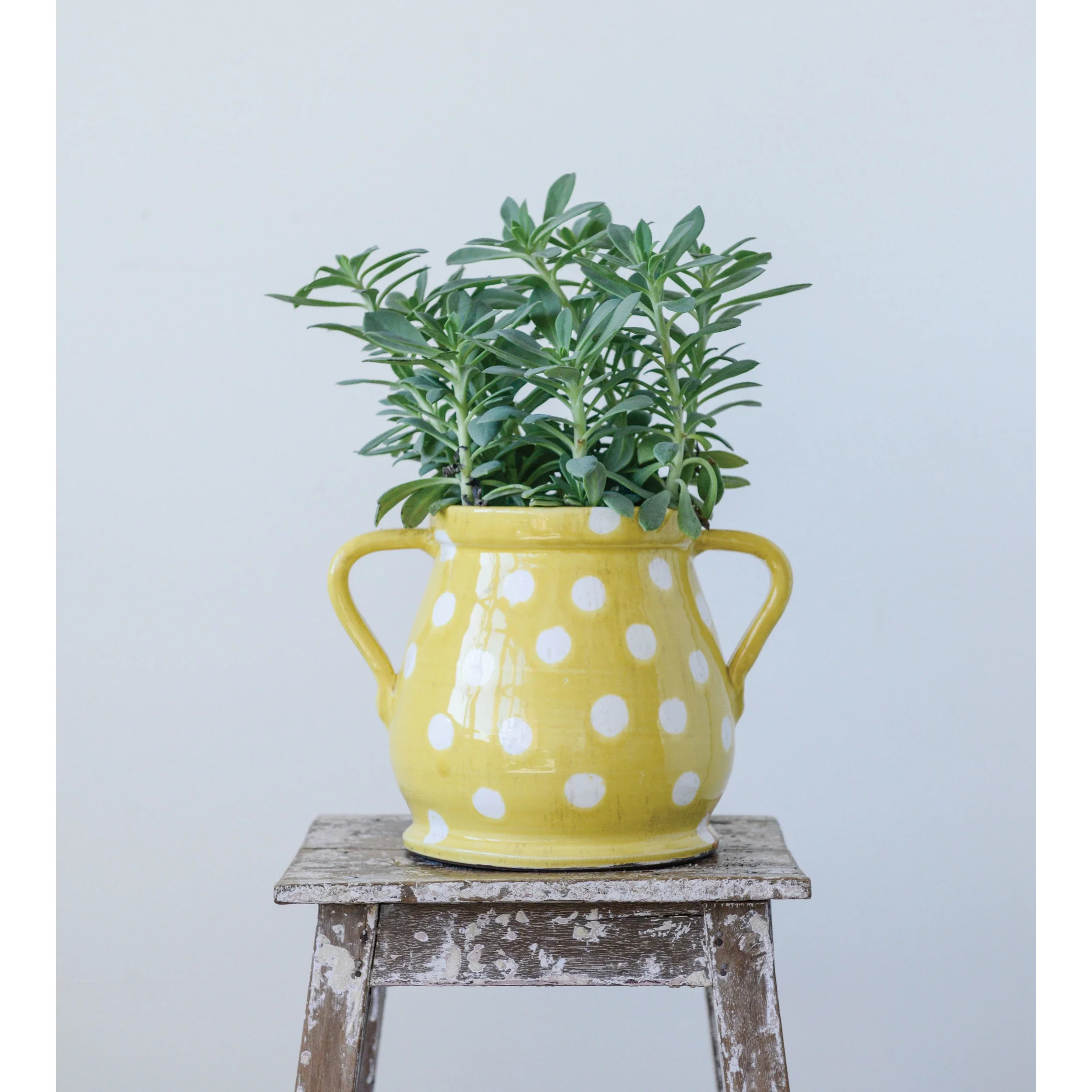 Creative Co-op - Distressed Yellow Planter