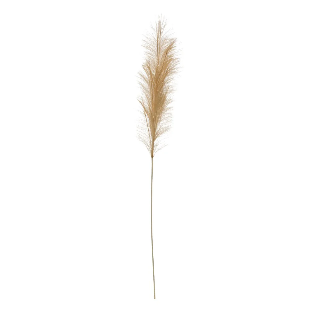 Creative Co-op - Pampas Grass Plume - Image 3