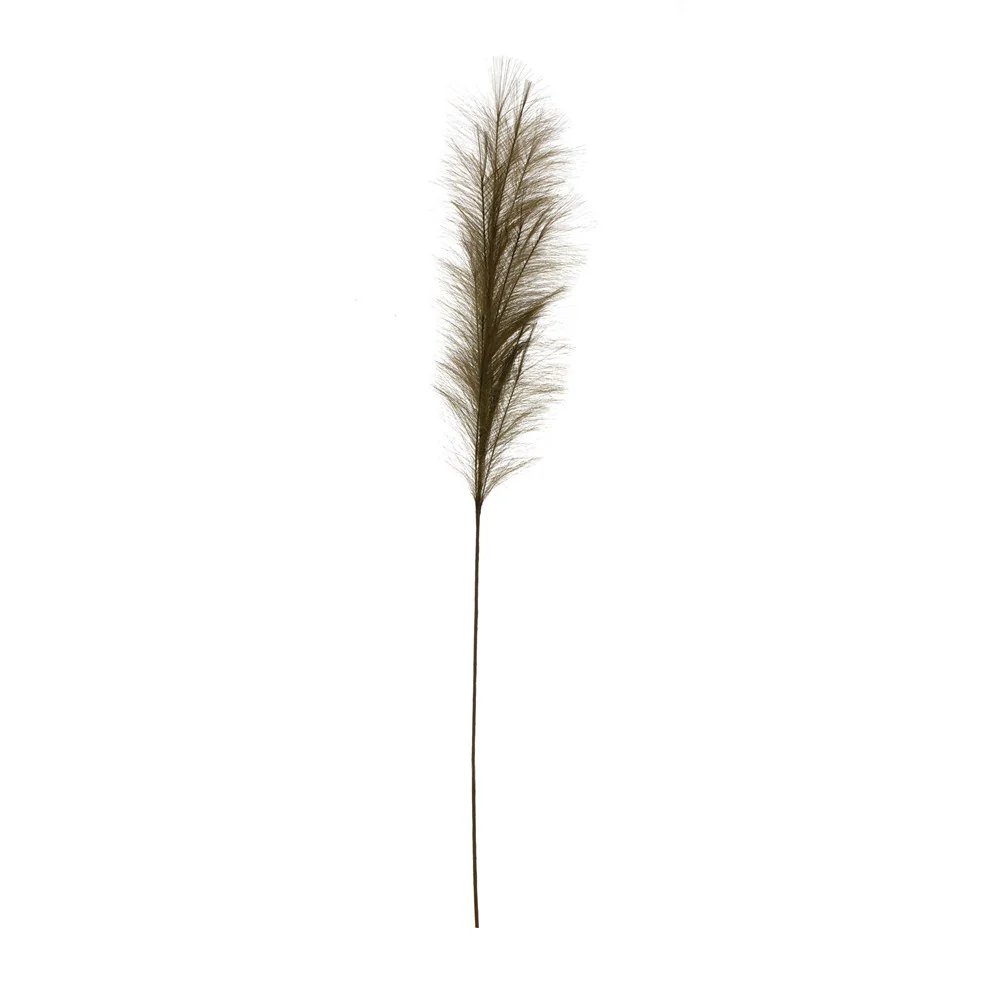 Creative Co-op - Pampas Grass Plume - Image 4