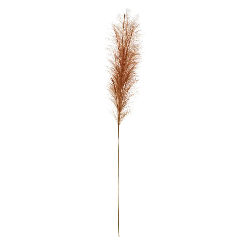 Creative Co-op - Pampas Grass Plume - Image 5