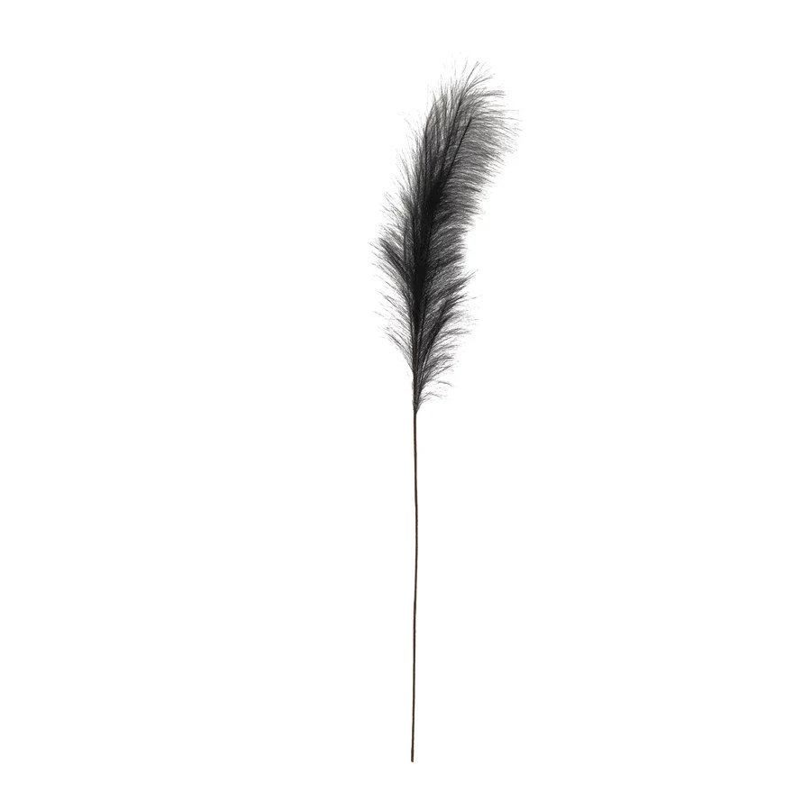 Creative Co-op - Pampas Grass Plume - Image 6