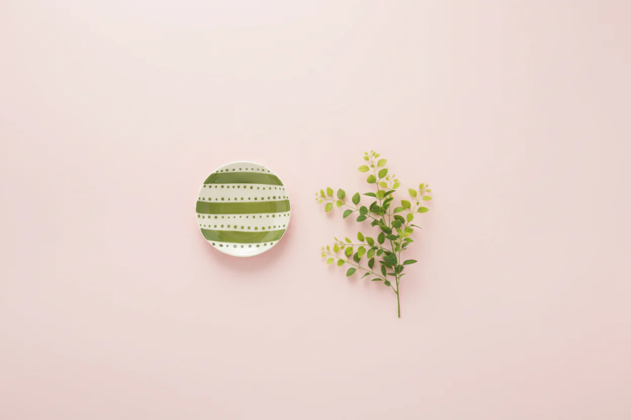 Creative Co-op - Small Plate with Stripes & Dots - Image 4