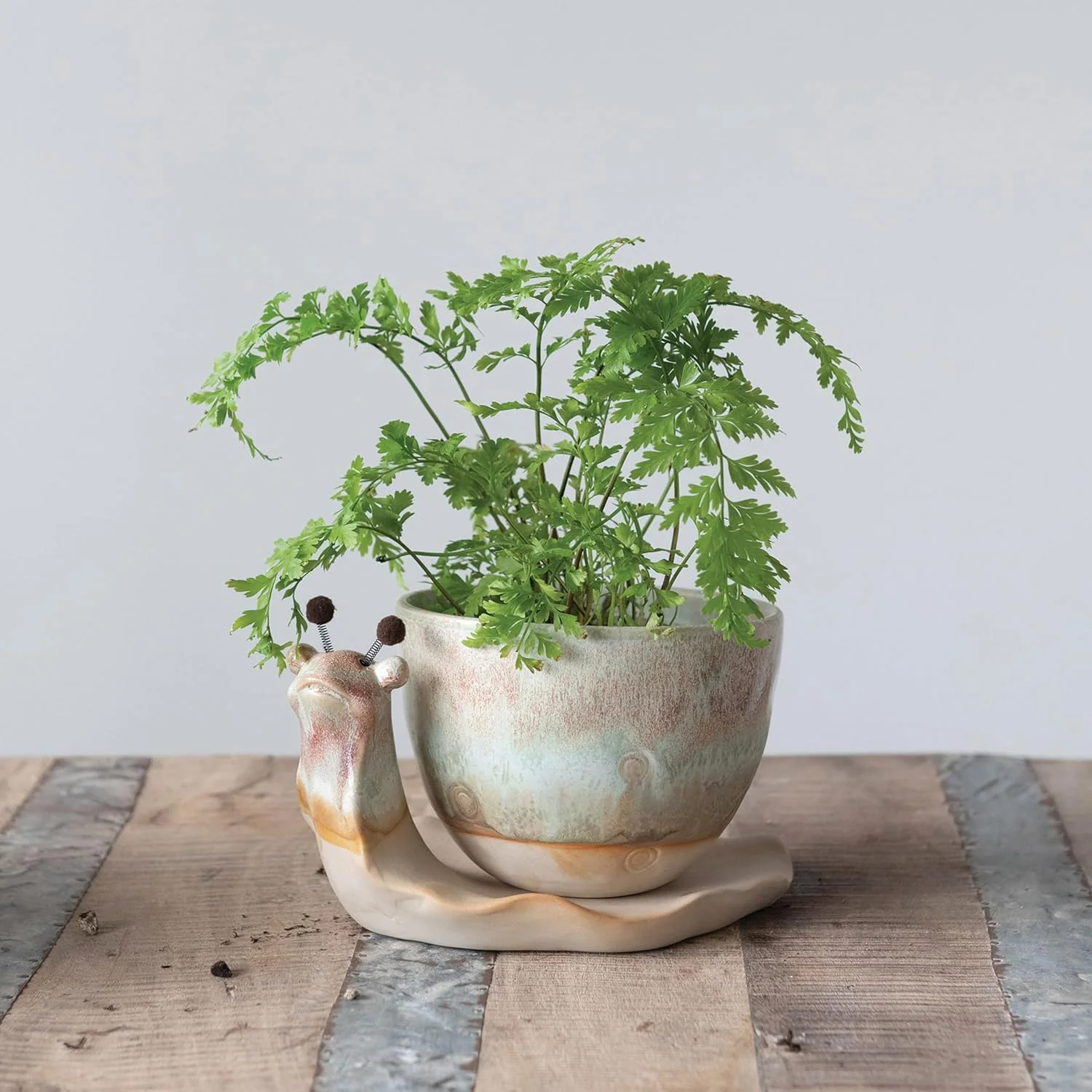 Creative Co-op - Stoneware Planter with Snail Saucer