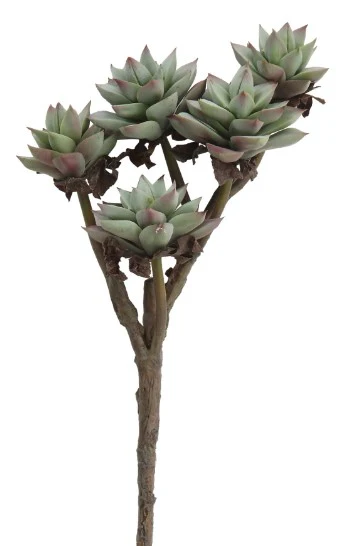 Creative Co-op - Succulent Stem - Image 4