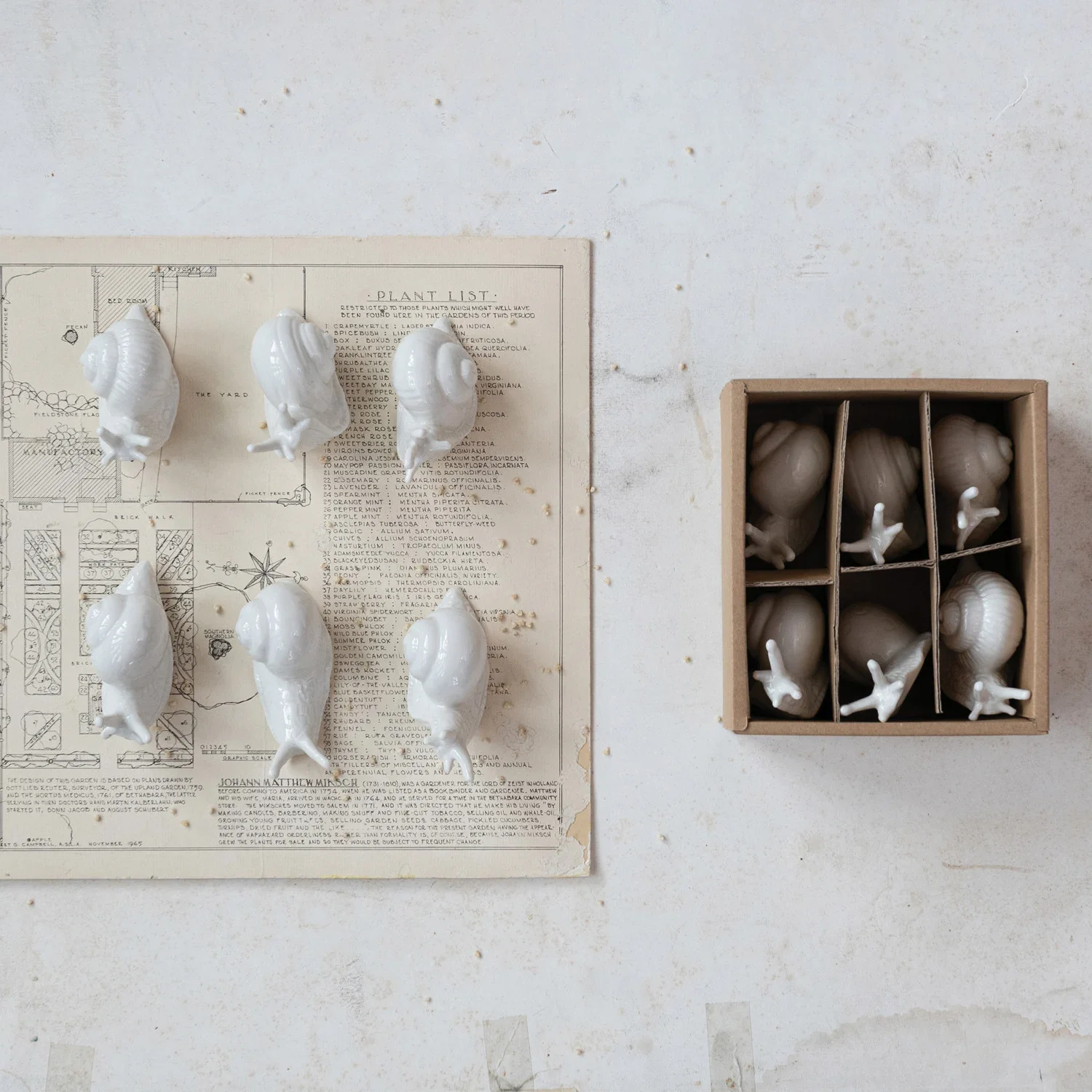 Creative Co-op - White Ceramic Snails