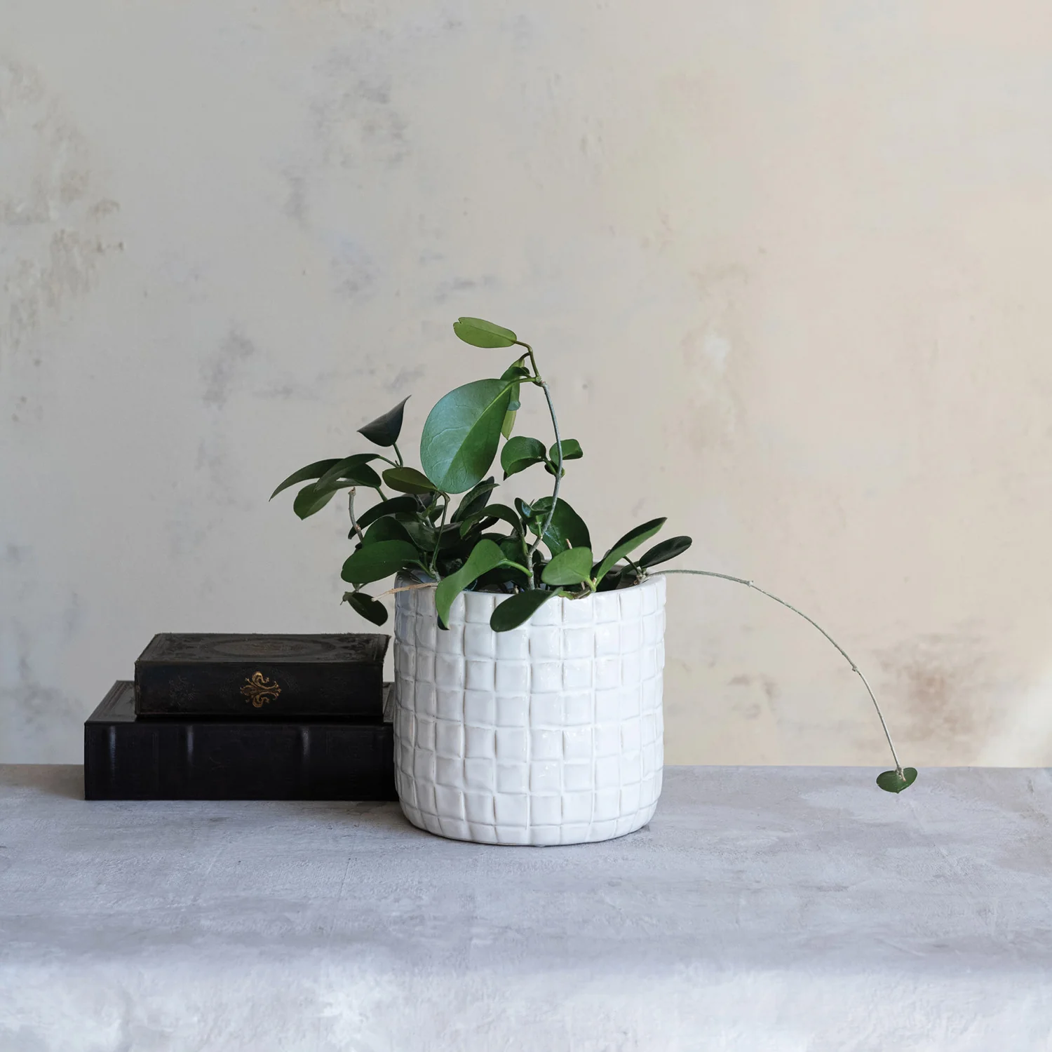 Creative Co-op - Woven Patterned Round Planter