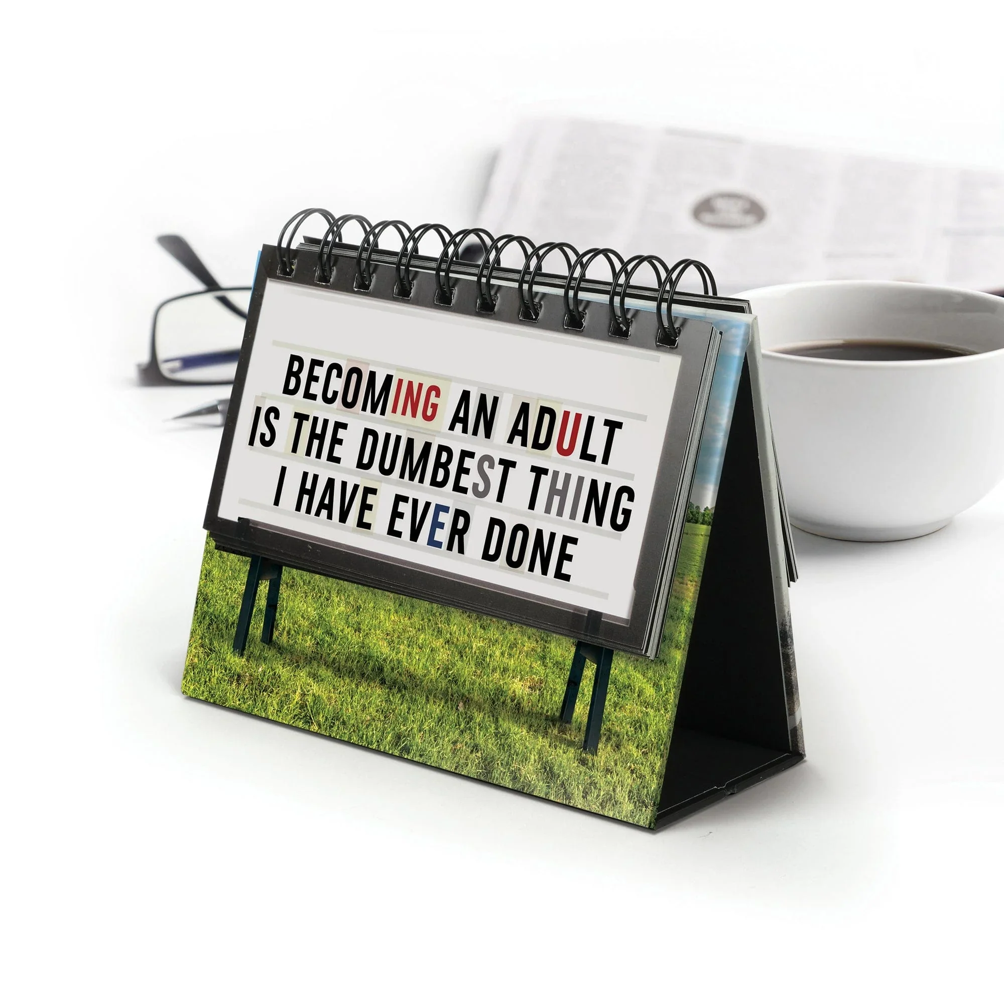 Fred & Friends - Daily Marquee - Desk Flipchart