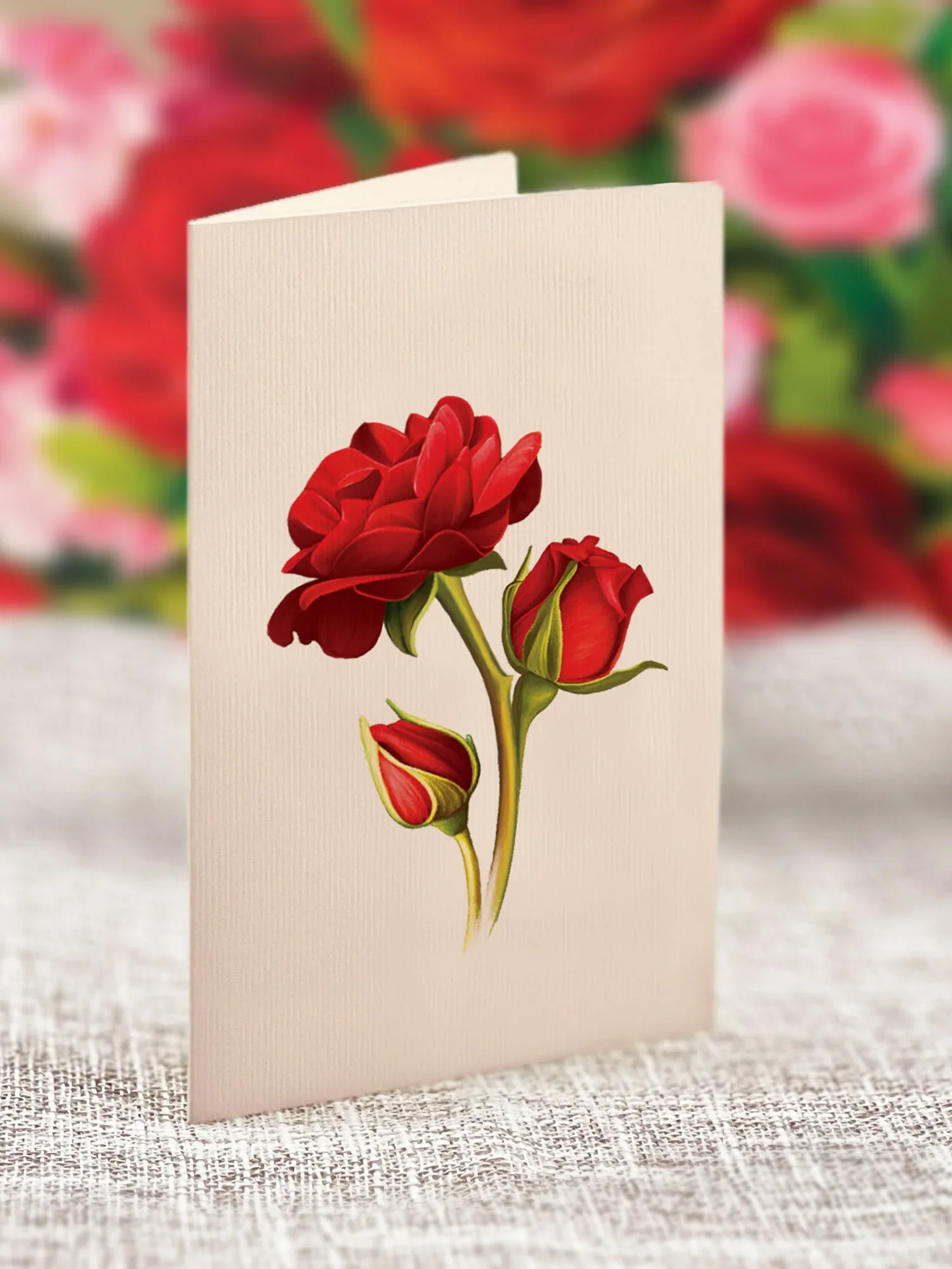 FreshCut Paper - Blooming Roses Pop-Up Bouquet - Image 4