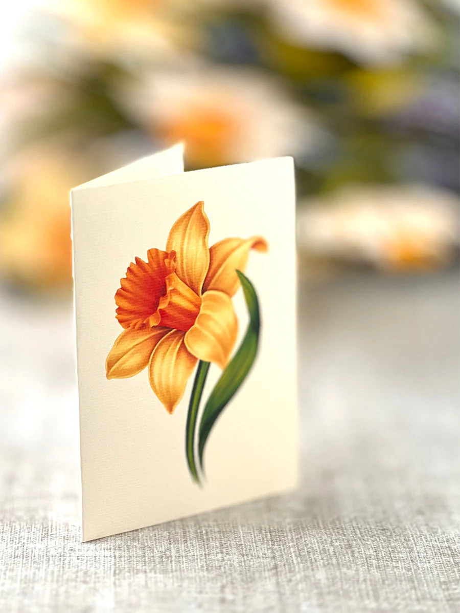 FreshCut Paper - English Daffodils Pop-Up Bouquet - Image 3