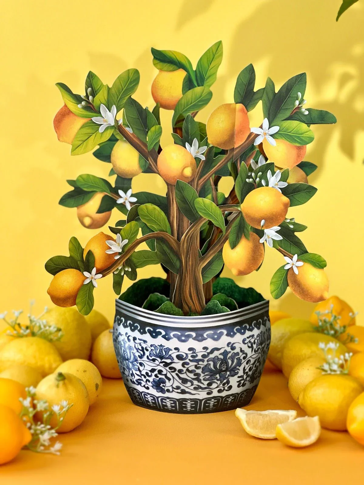 FreshCut Paper - Lemon Blossom Tree Pop-Up Bouquet