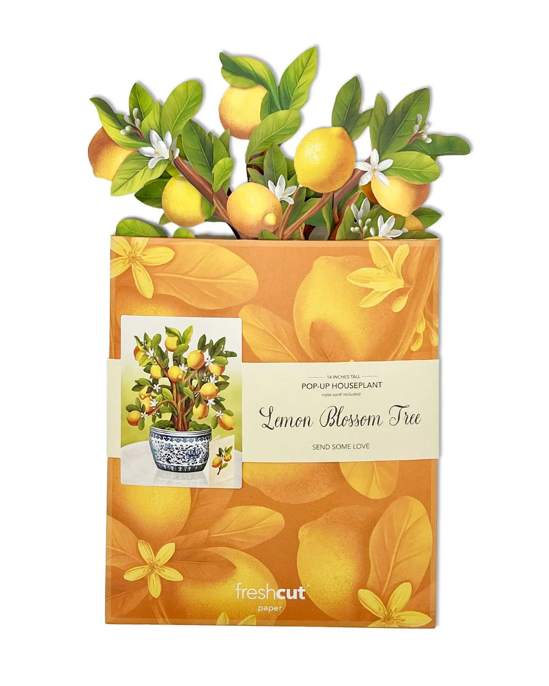 FreshCut Paper - Lemon Blossom Tree Pop-Up Bouquet - Image 3