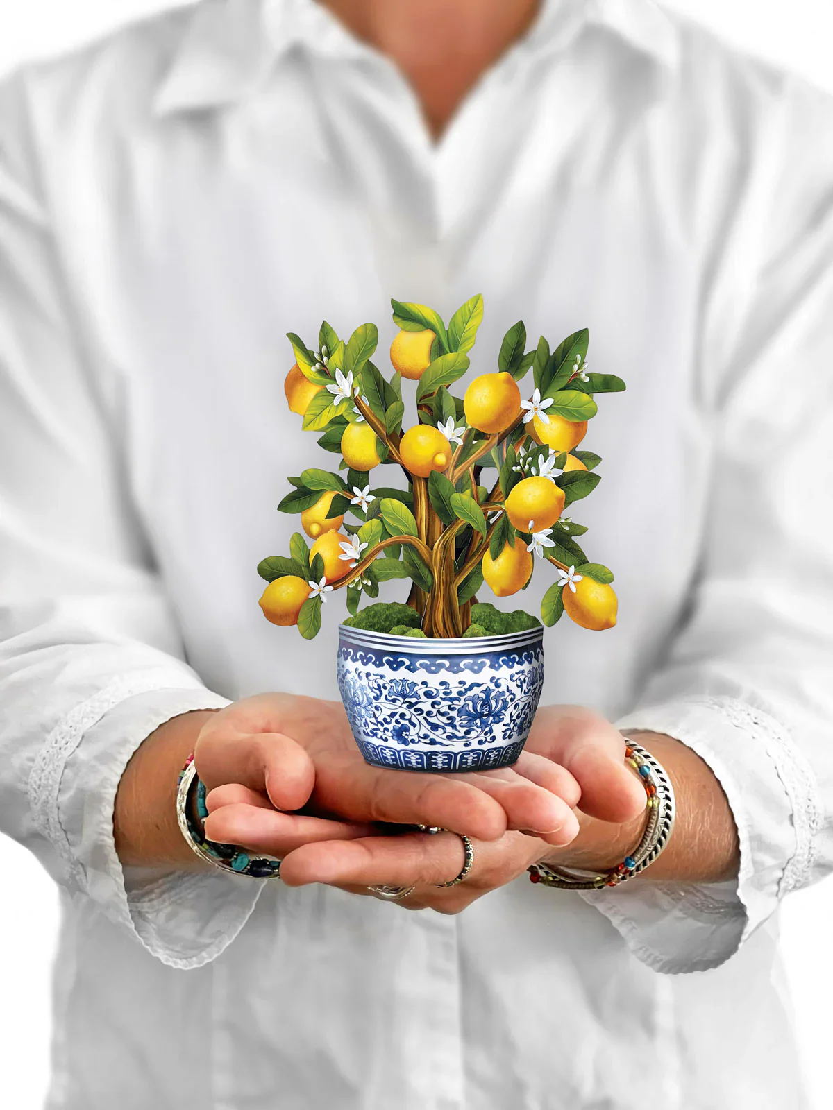 FreshCut Paper - Mini Lemon Blossom Tree Pop-Up Card