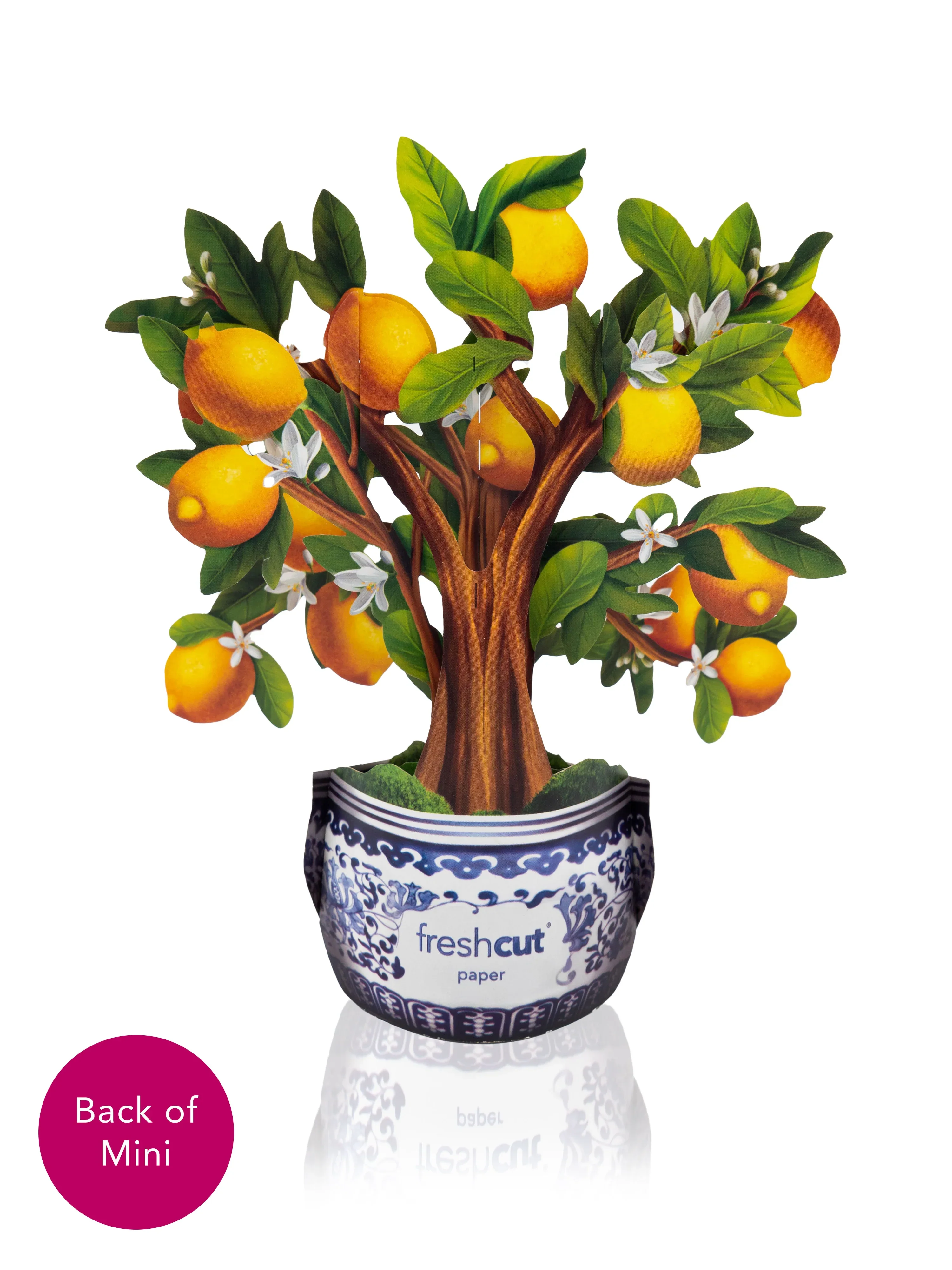 FreshCut Paper - Mini Lemon Blossom Tree Pop-Up Card - Image 2
