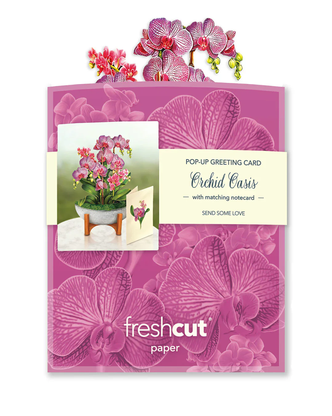 FreshCut Paper - Mini Orchid Oasis Pop-Up Card - Image 5