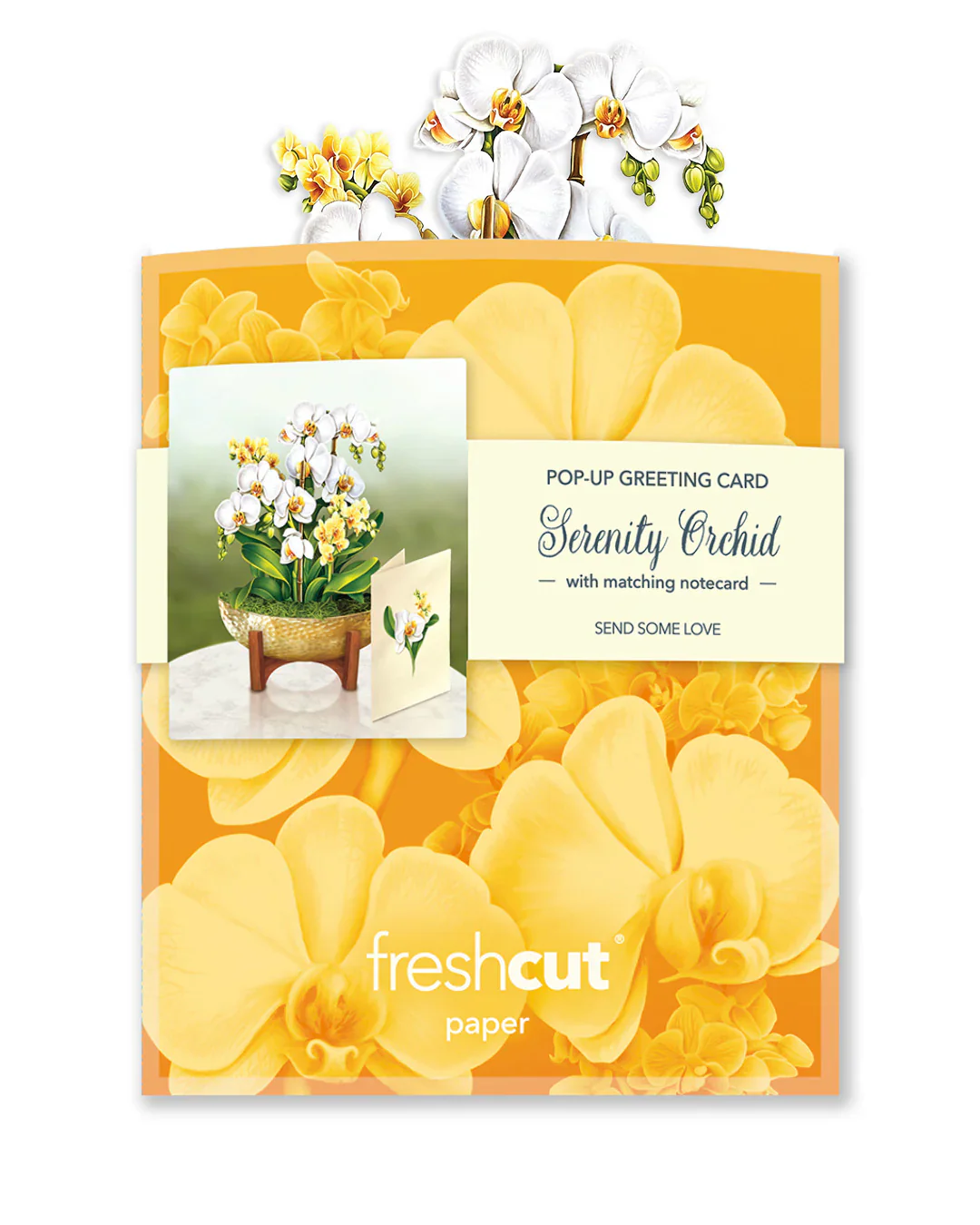 FreshCut Paper - Mini Serenity Orchid Pop-Up Card - Image 4