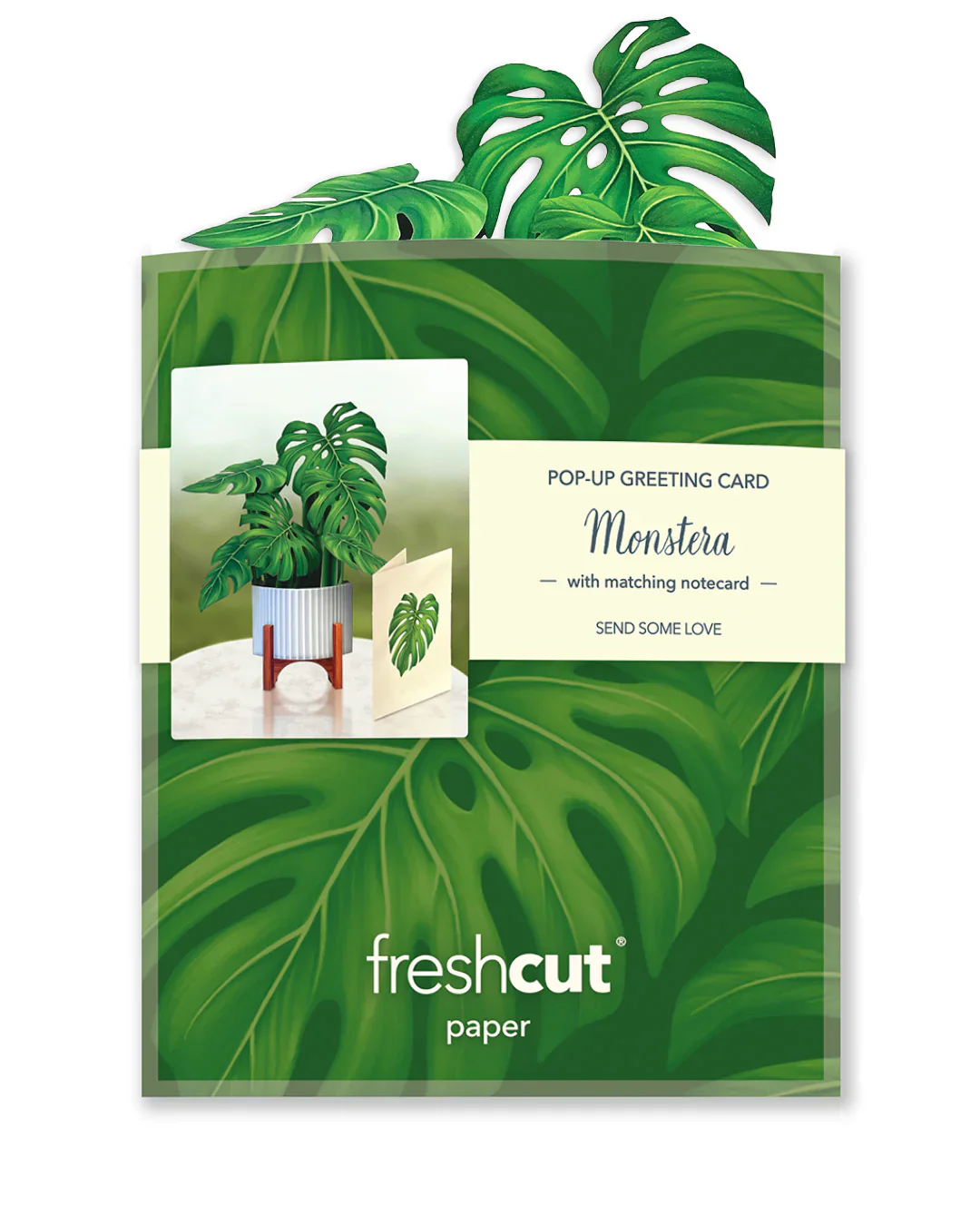 FreshCut Paper - Pop-Up Greeting Card, Monstera - Image 5