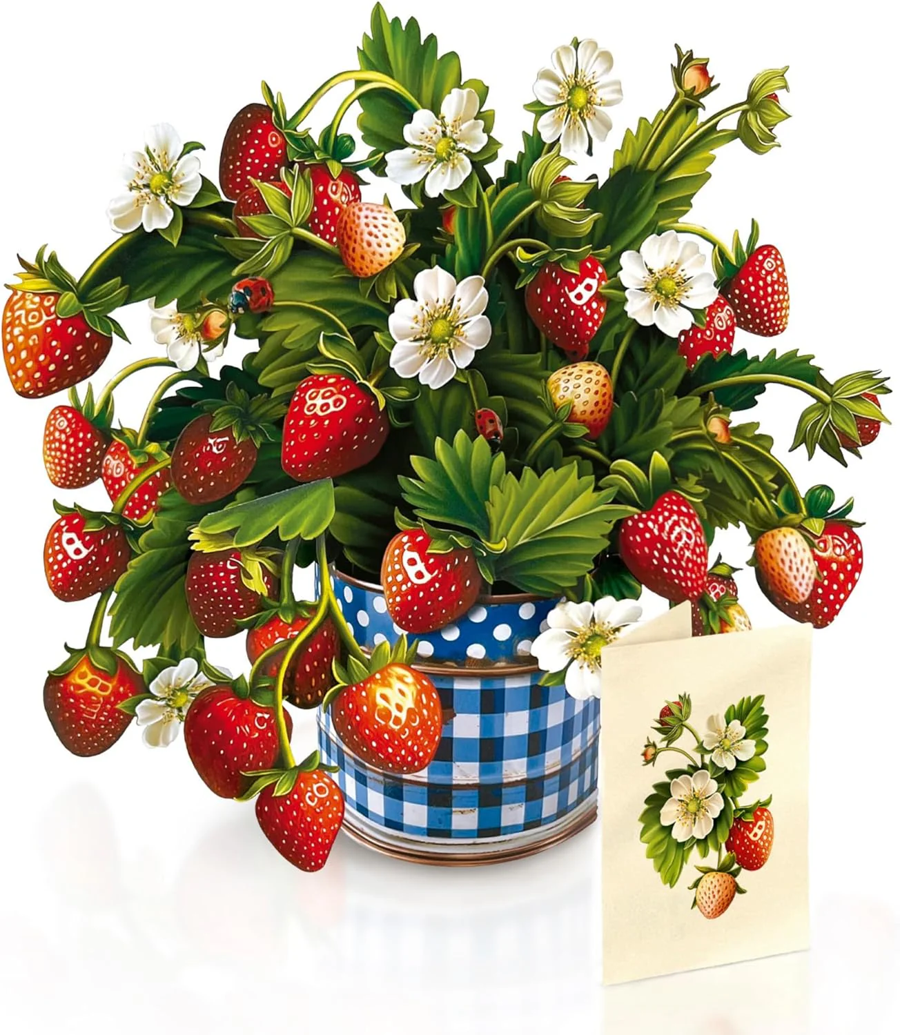 FreshCut Paper - Strawberry Blossom Pop-Up Bouquet - Image 4