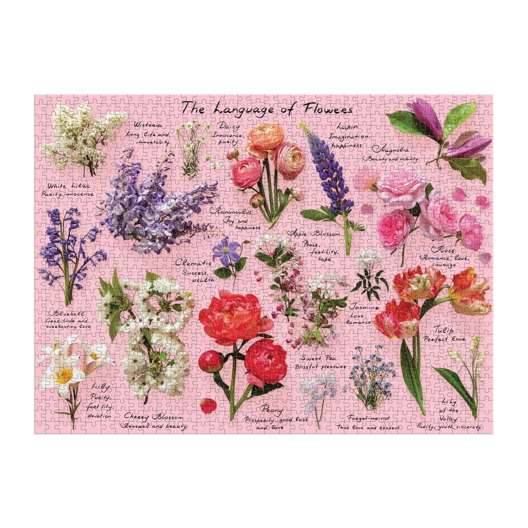 Galison - The Language of Flowers Puzzle, 1000 Piece - Image 3
