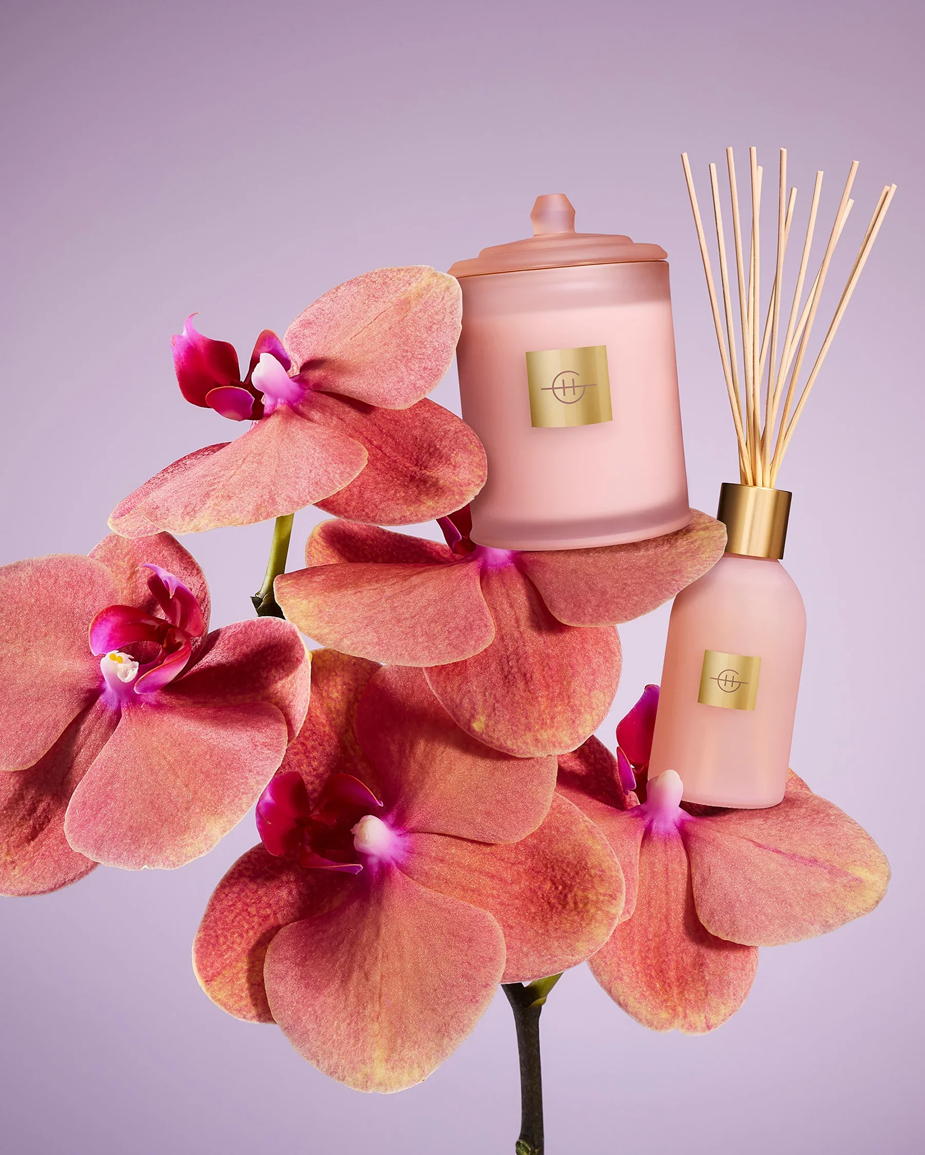 Glasshouse Fragrances - Radiance in Bloom Fragrance Diffuser - Image 2
