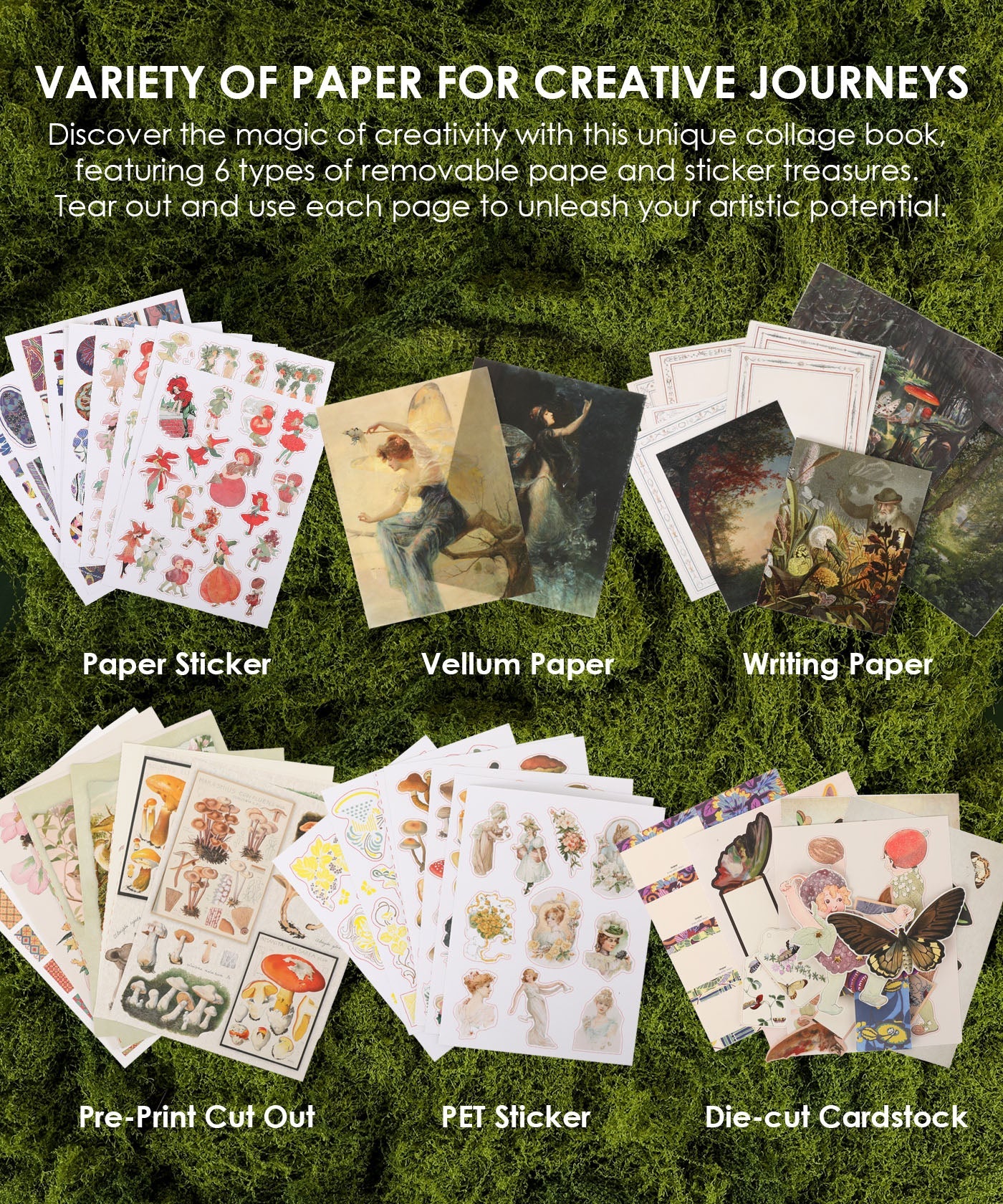 Grabie - The Botanical Muse Collage Activity Book - Image 4