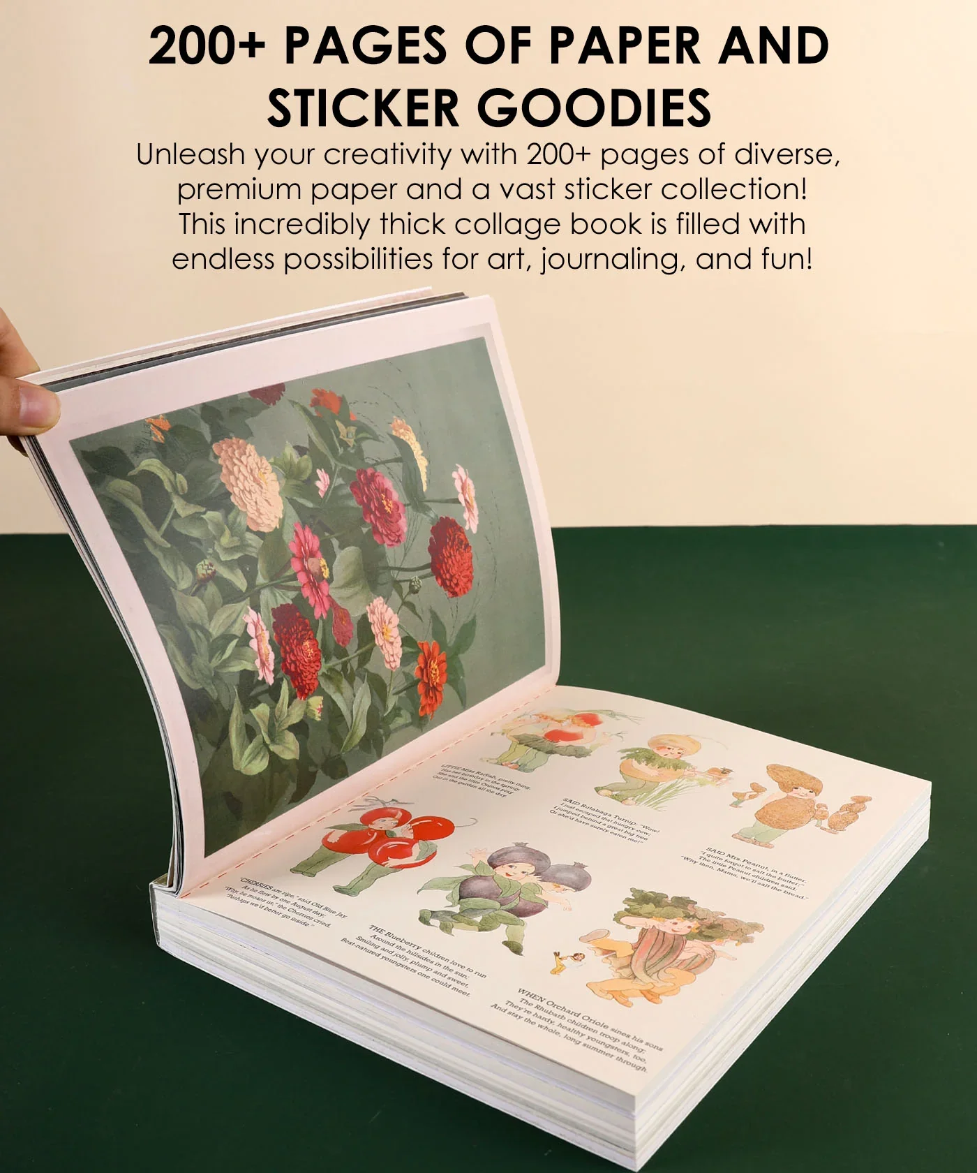 Grabie - The Botanical Muse Collage Activity Book - Image 7