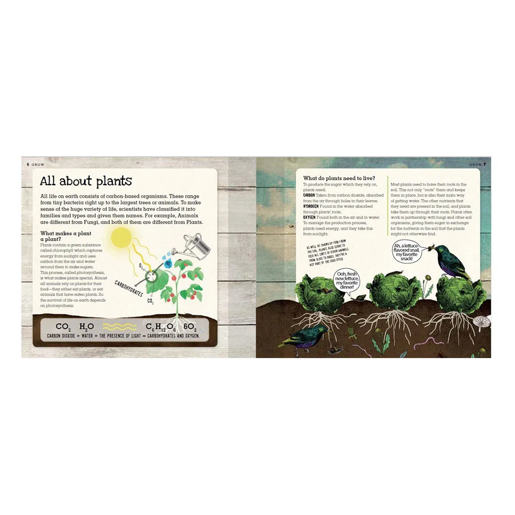 Grow: A Family Guide to Growing Fruits and Vegetables, by Ben Raskin - Image 3