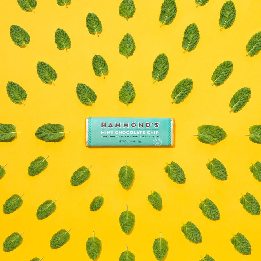 Hammond's Candies - Mint Chocolate Chip Dark Chocolate Candy Bar