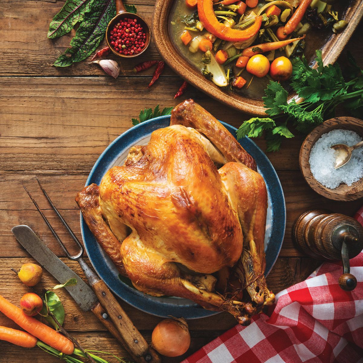 HIC - Turkey Lacer Kit - Image 3