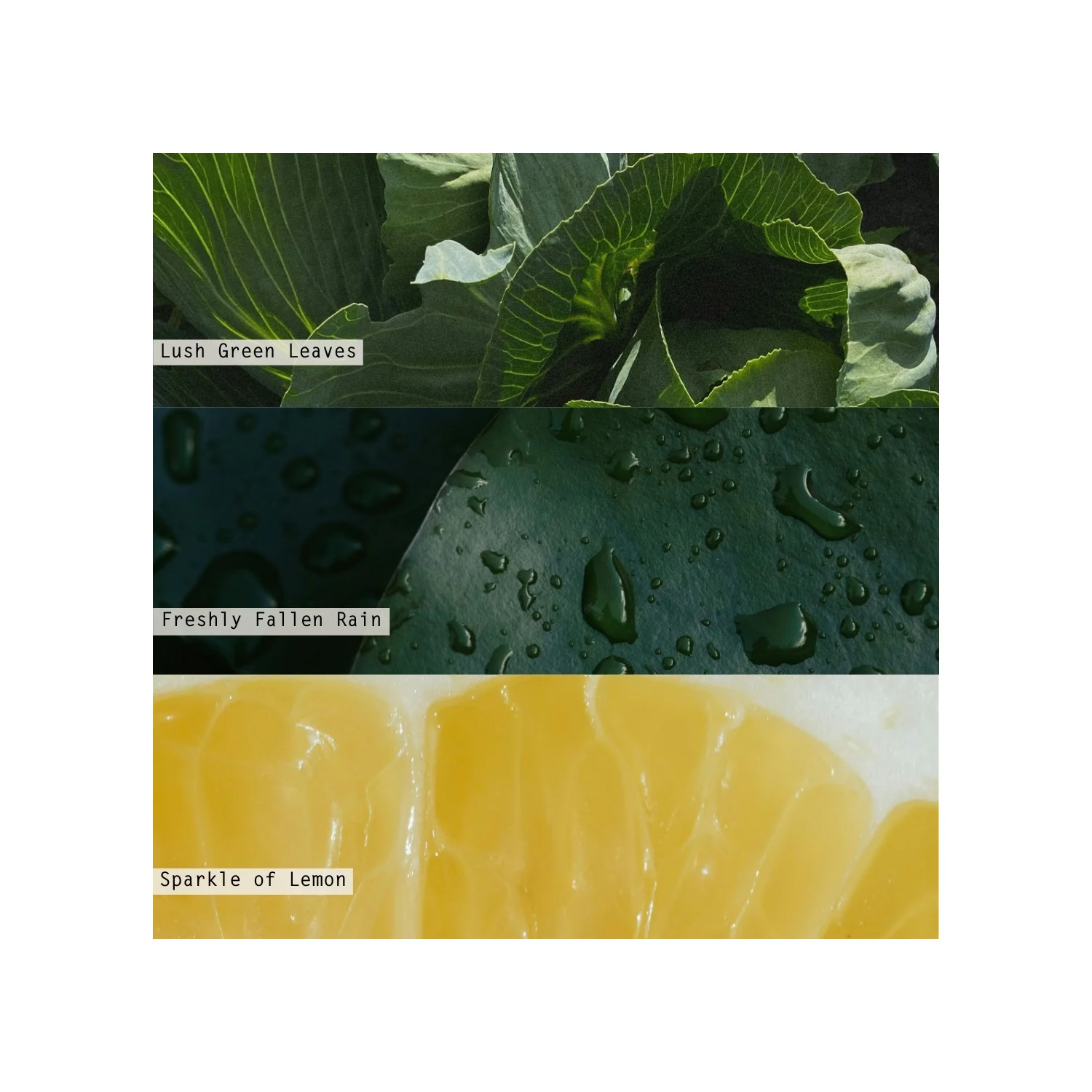 Illume - Hidden Lake Boxed Glass Candle - Image 3