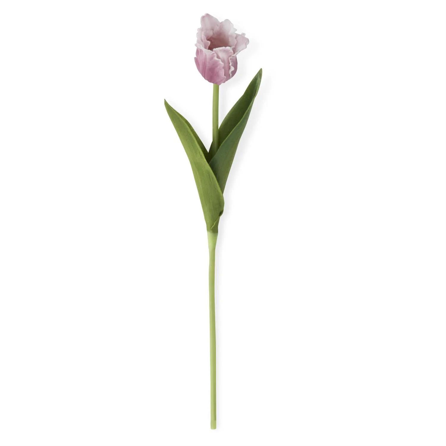 K & K Interiors - Purple Real Touch Parrot Tulip Bundle - Image 3