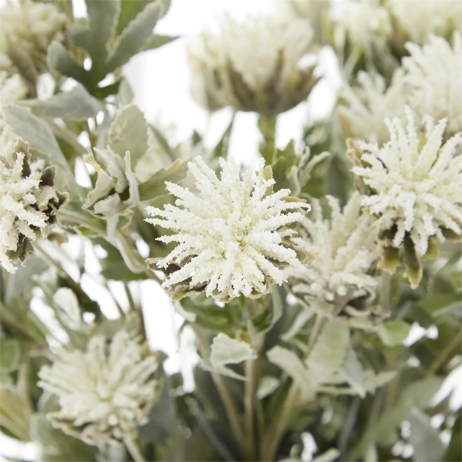 K & K Interiors - White Thistle Stem - Image 2