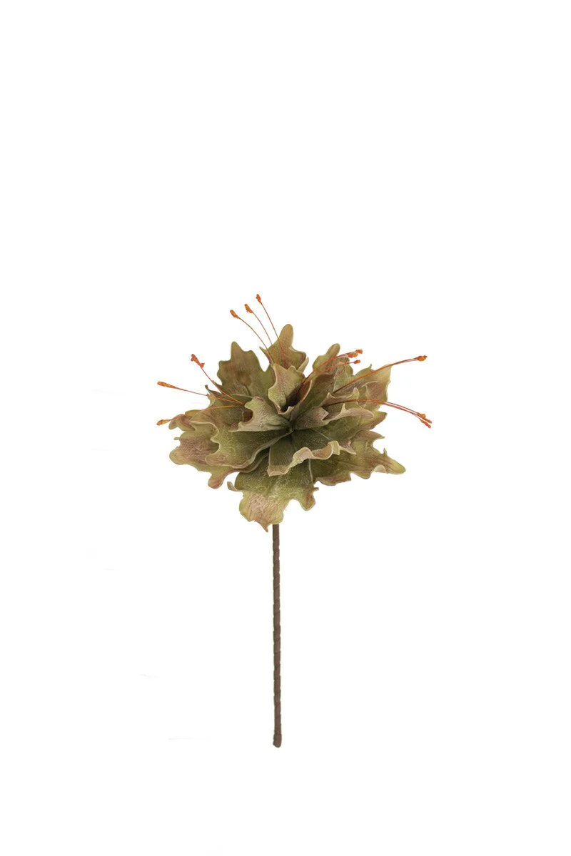 Kalalou - Botanical Floral Stem - Image 4