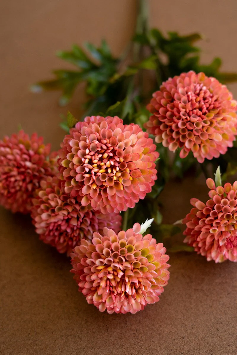 Kalalou - Bundle of Zinnias, Bright Pink - Image 2