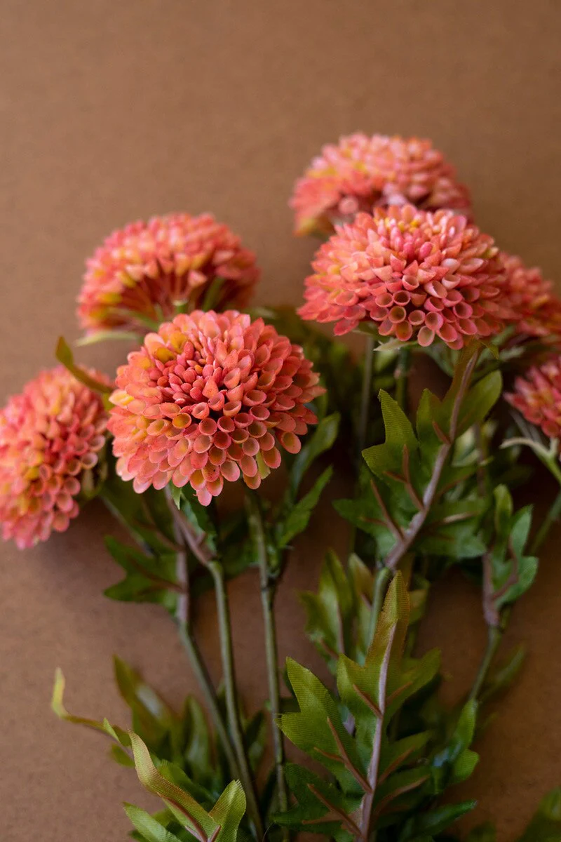 Kalalou - Bundle of Zinnias, Bright Pink - Image 3