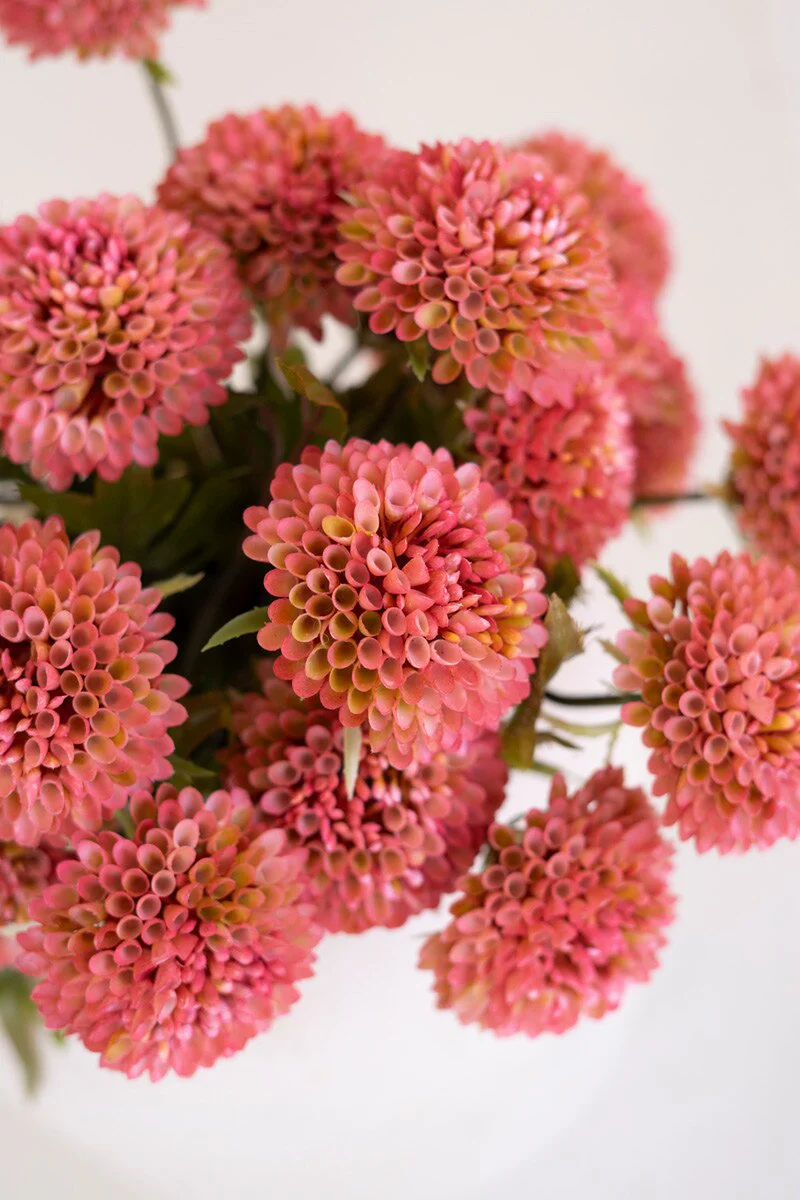 Kalalou - Bundle of Zinnias, Bright Pink - Image 4