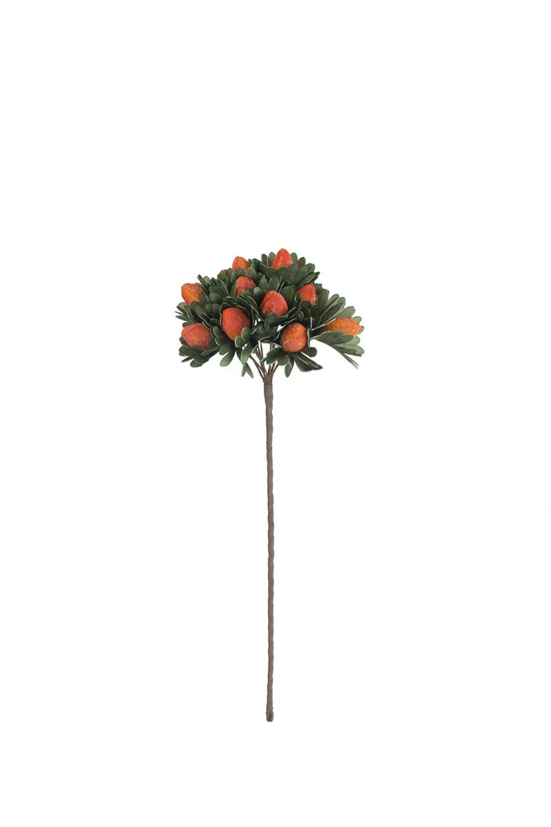 Kalalou - Coral Pod & Leaf Bundle - Image 3