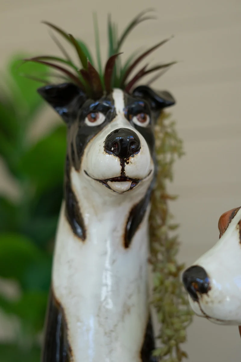 Kalalou - Doggie Planter - Image 4