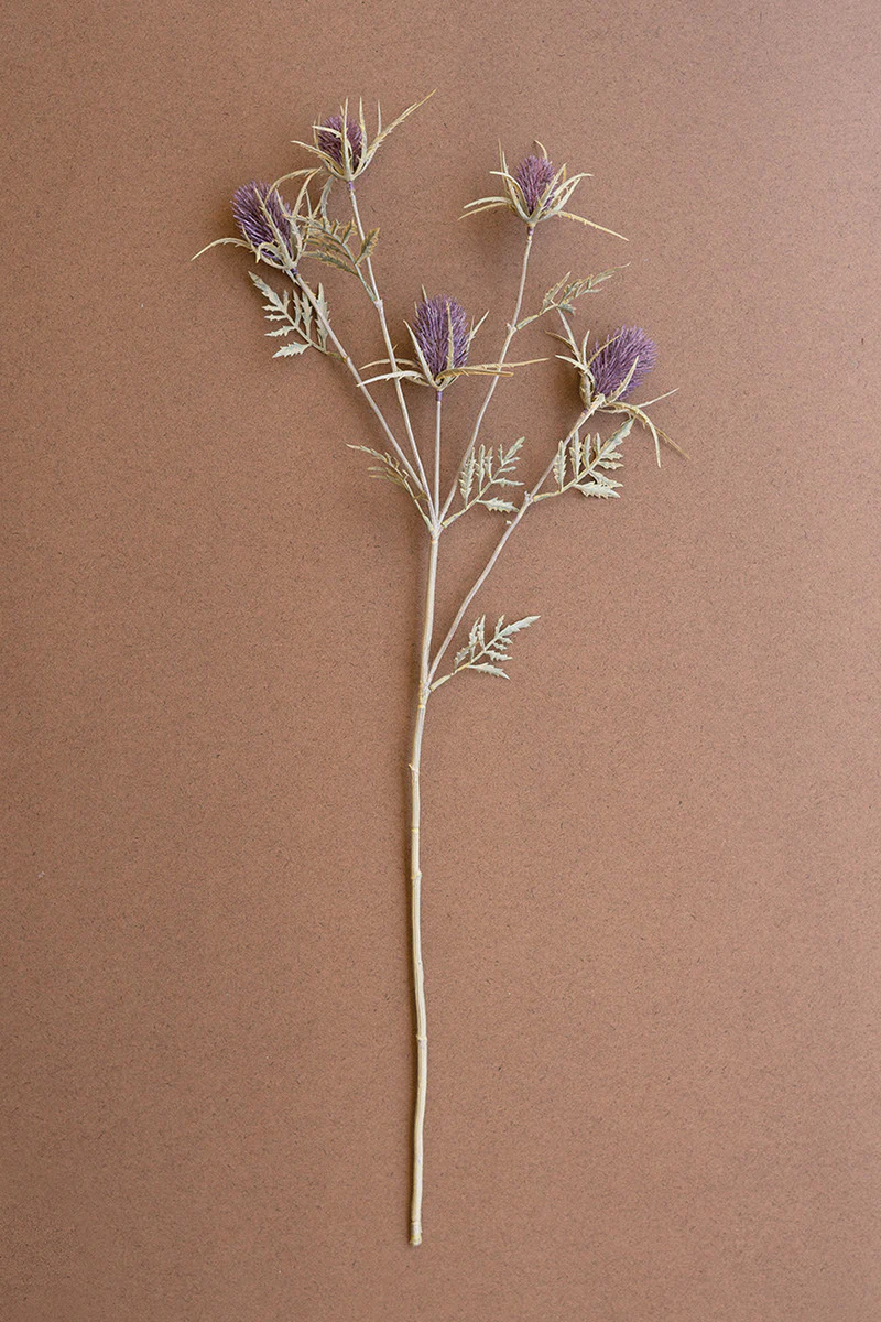Kalalou - Thistle Stem