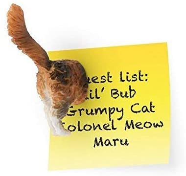 Kikkerland - Cat Butt Magnets, Set of 6 - Image 3
