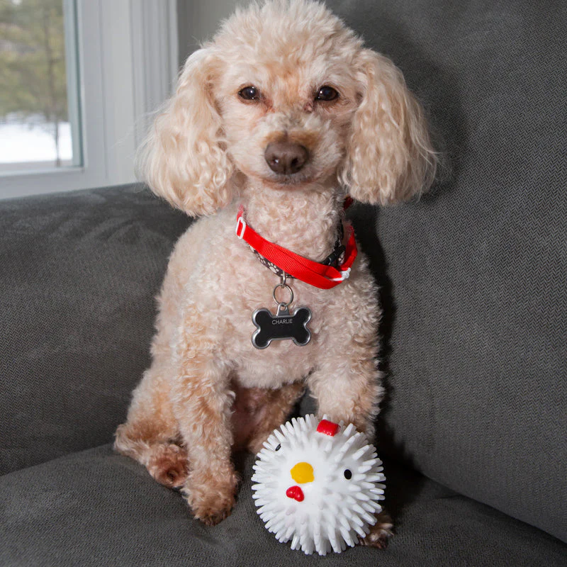 Kikkerland - Chicken Dog Ball - Image 2