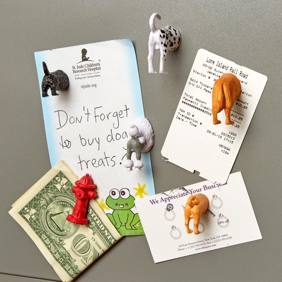Kikkerland - Dog Butt Magnets, Set of 6 - Image 2