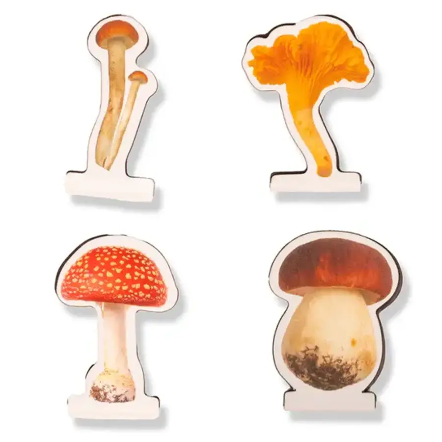 Kikkerland - Magnetic Mushroom Bookmarkers - Image 2