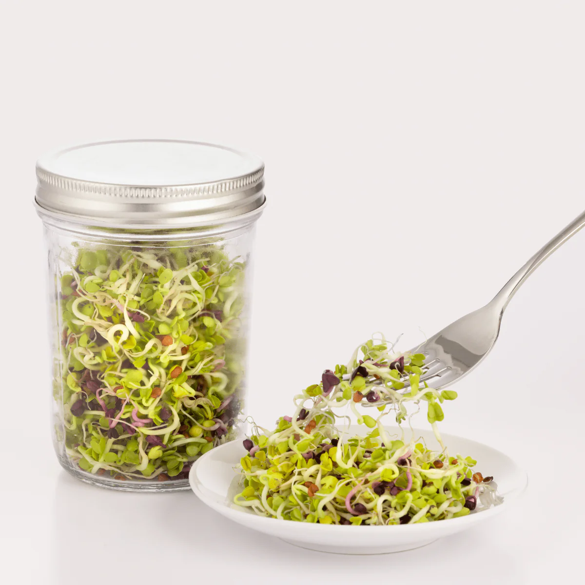 Kilner - Glass Sprouting Set - Image 4