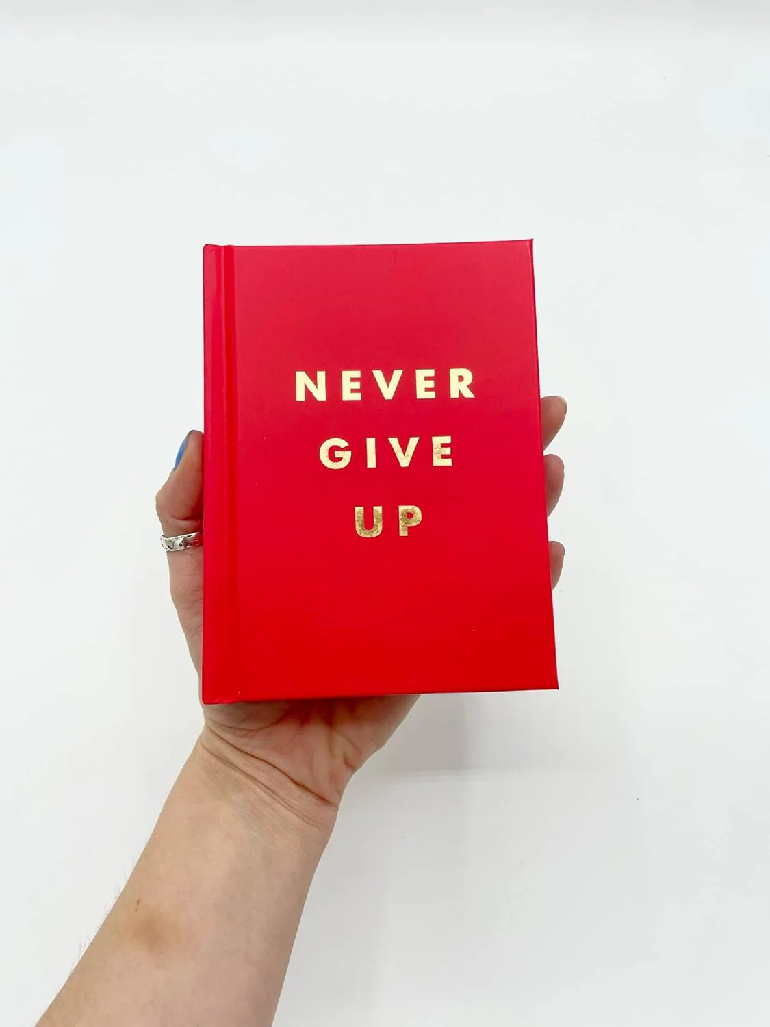 Never Give Up - Image 2