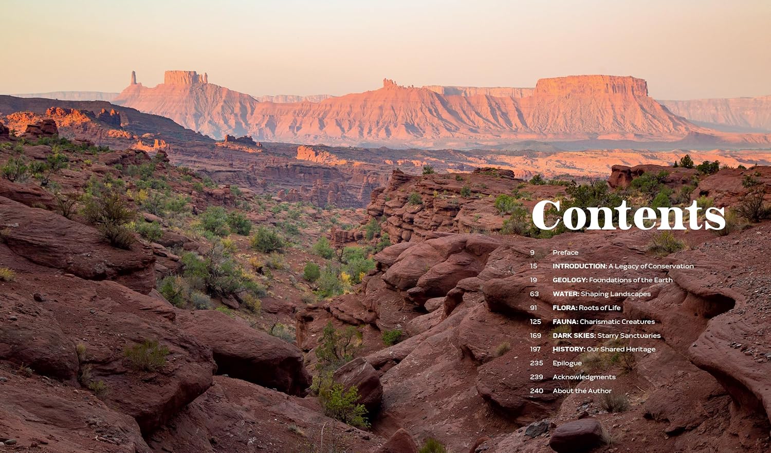 Parklands: America's National Parks and Public Lands by Jacob Frank - Image 3