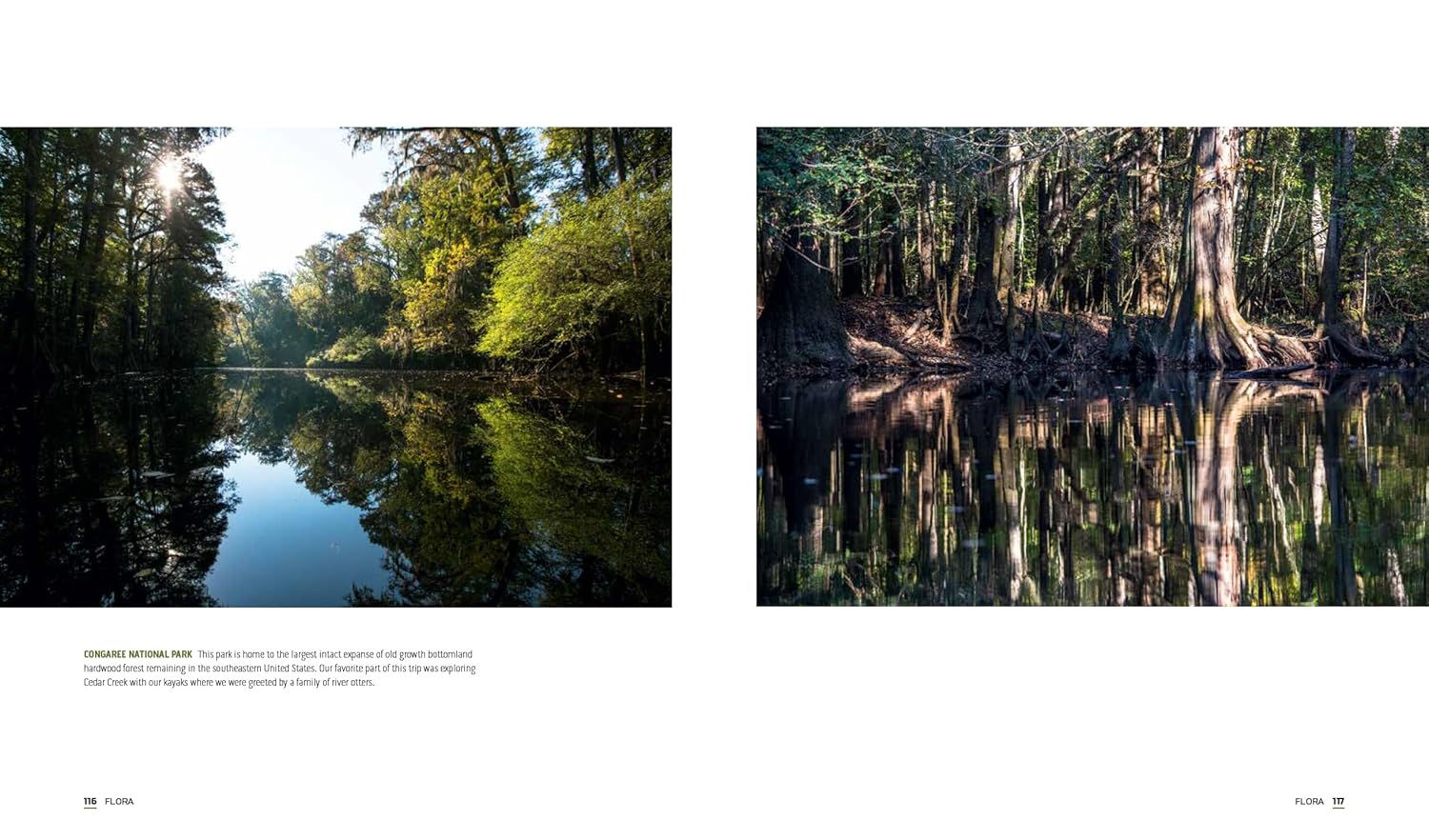 Parklands: America's National Parks and Public Lands by Jacob Frank - Image 6